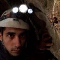 Stefano Mammola (IT)